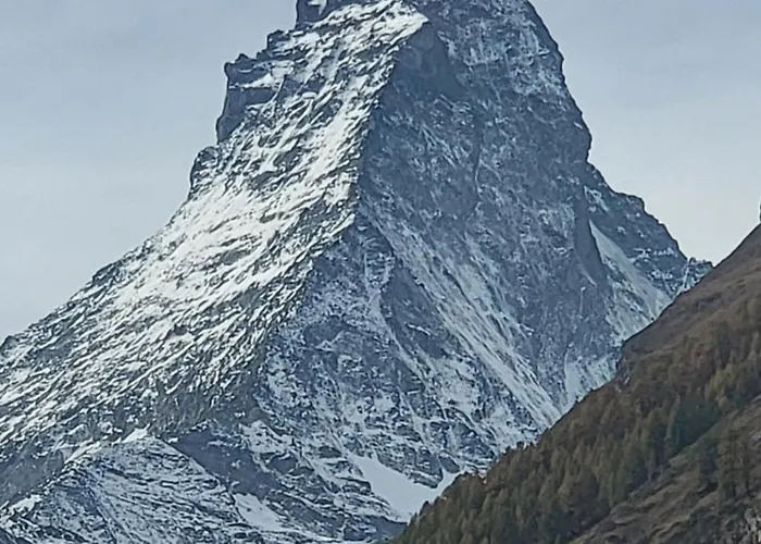 公寓 Zermatt Apartment